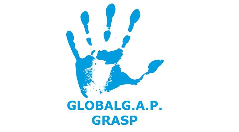 GLOBAL G.A.P GRASP Logo