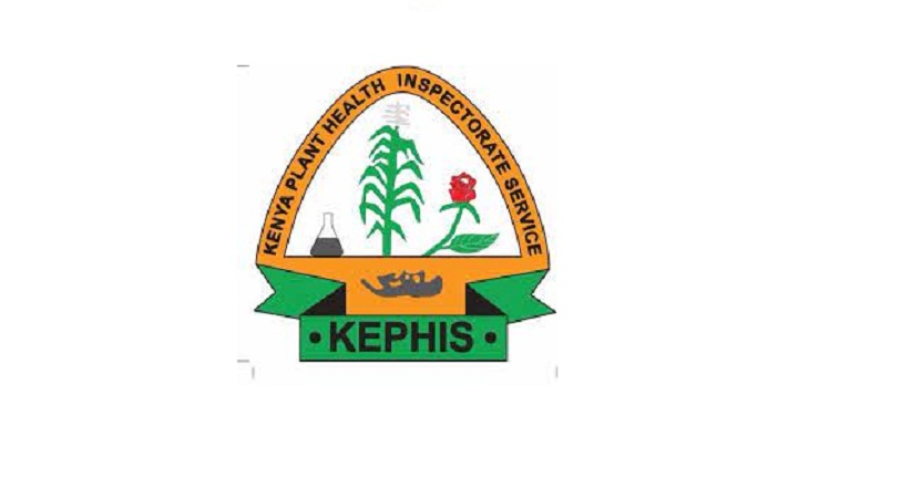 KEMPHIS Logo